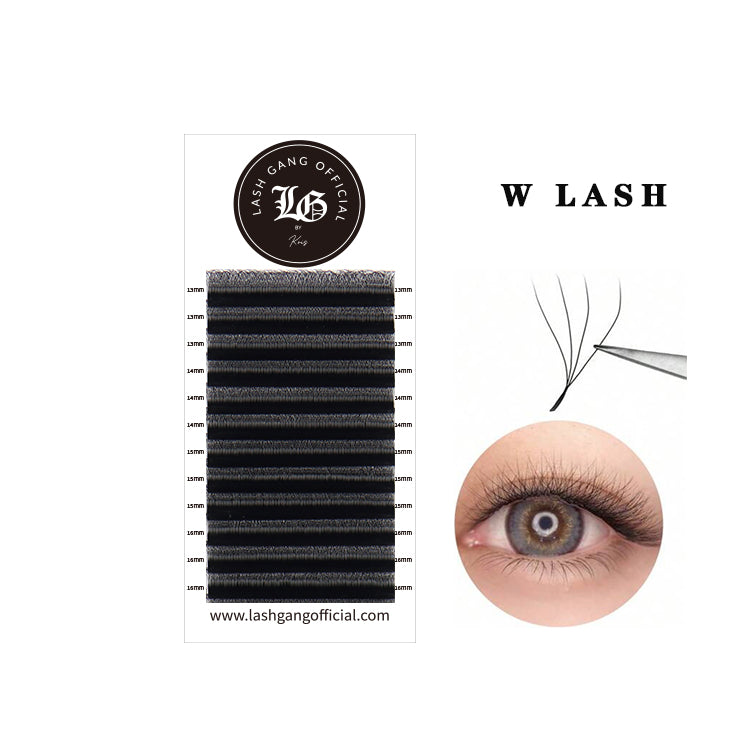 W Lashes