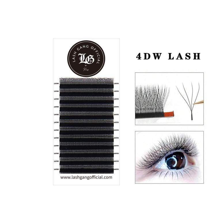 W Lashes